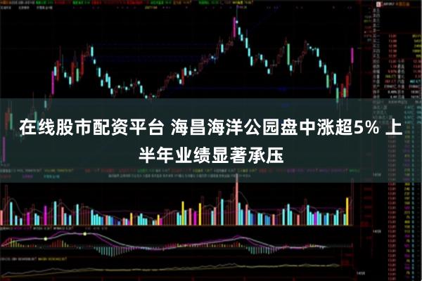 在线股市配资平台 海昌海洋公园盘中涨超5% 上半年业绩显著承压