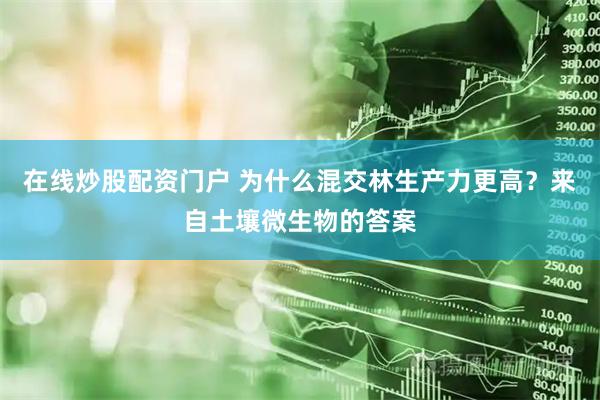 在线炒股配资门户 为什么混交林生产力更高？来自土壤微生物的答案
