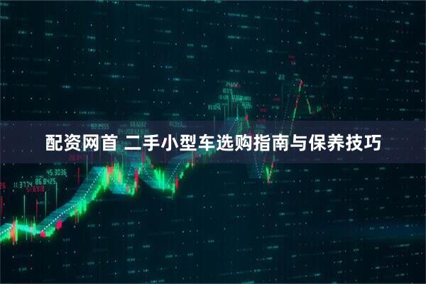 配资网首 二手小型车选购指南与保养技巧